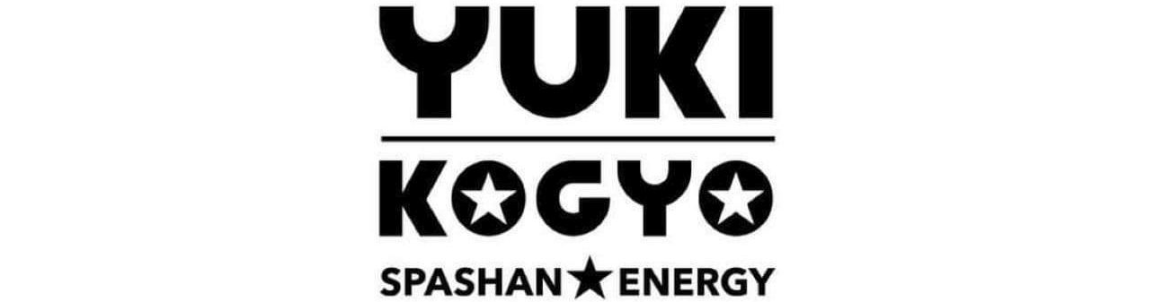 spashan-energy logo